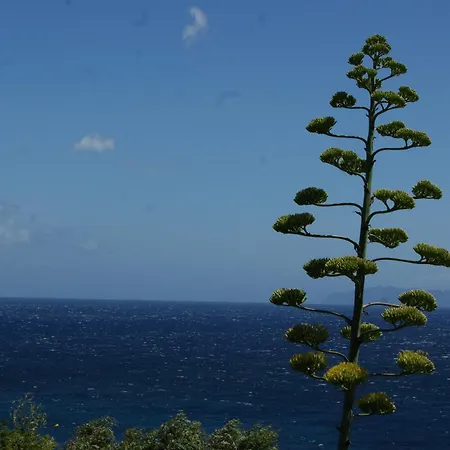 Vue Sur A Santa Severa - Les Cypres Lägenhet Cagnano