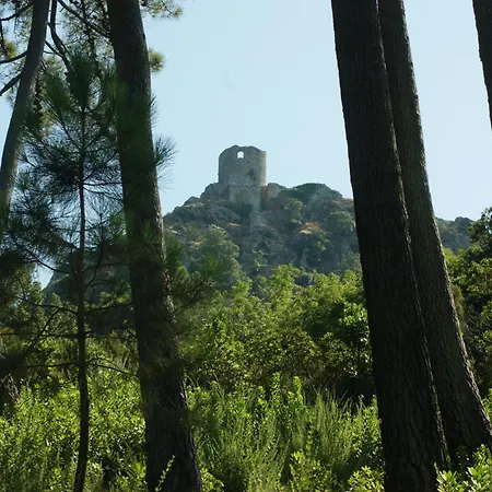 Vue Sur à Santa Severa - Les Cyprès *