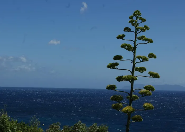 Vue Sur A Santa Severa - Les Cypres Apartmán Cagnano
