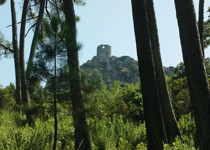 Vue Sur A Santa Severa - Les Cypres *